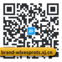 安卓掌上数据终端 二维码